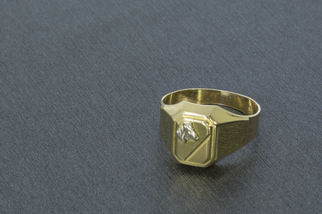 18 Karaat gouden zegelring met Paardenhoofd - 18,8 mm
