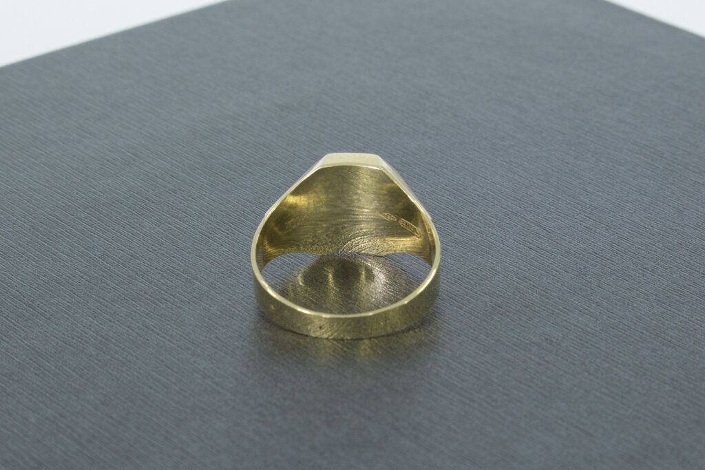 18 Karaat gouden zegelring met Paardenhoofd - 18,8 mm