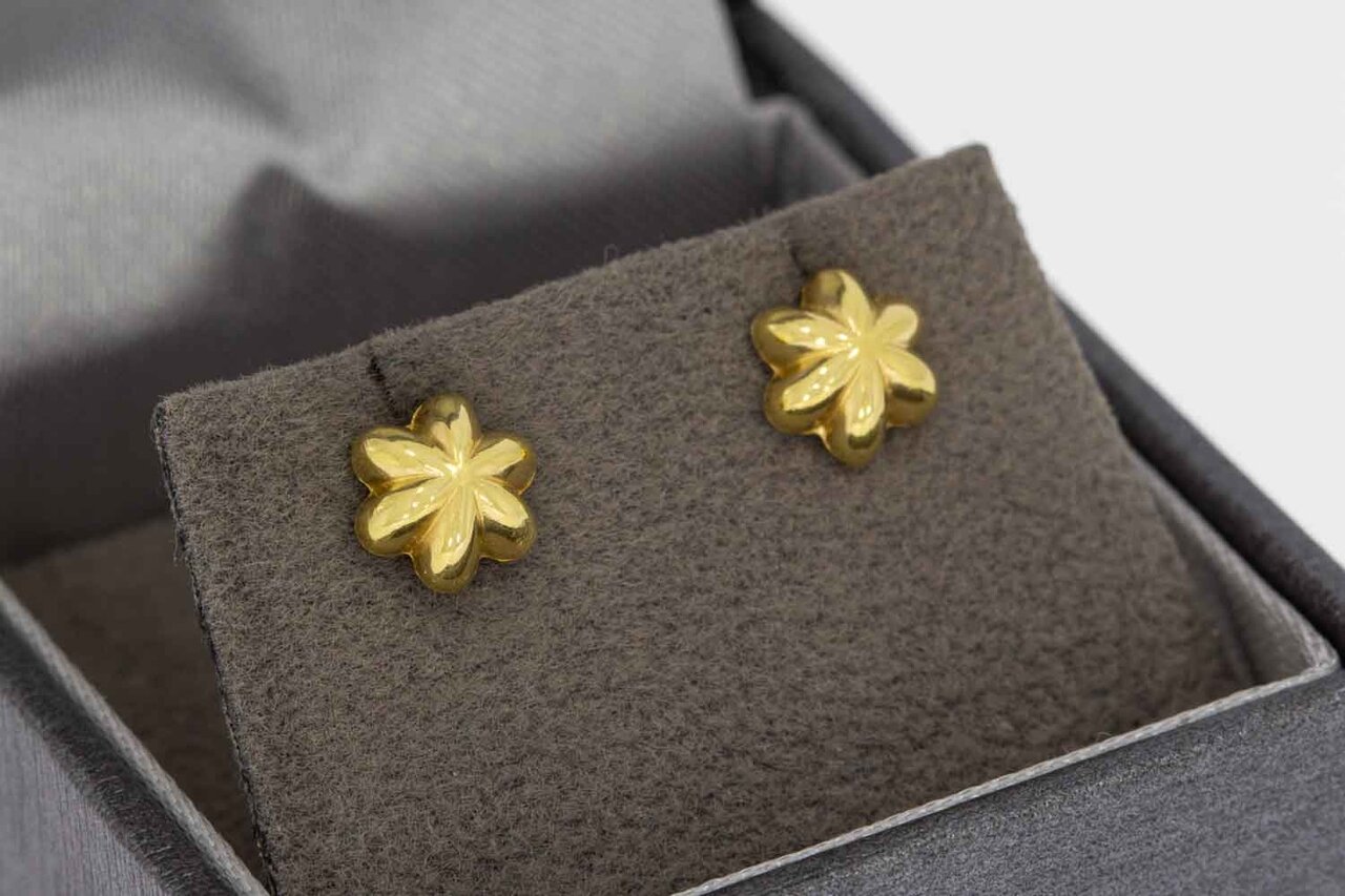 14 Karaat gouden oorknopjes - 6,7 mm