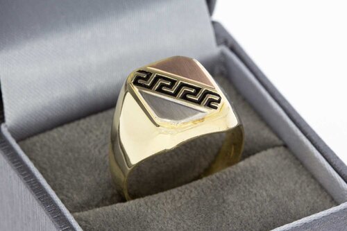 14 Karaat bicolor Statement ring - 20 mm