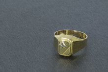 18 Karaat gouden zegelring met Paardenhoofd - 18,8 mm