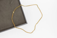 14 Karaat gouden Anker Collier - 44,5 cm