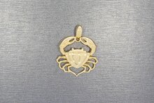 14 karaat gouden Krab ketting hanger - 3 cm
