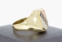 14 Karaat bicolor Statement ring - 20 mm