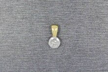 14 Karaat gouden dameshanger met Diamant